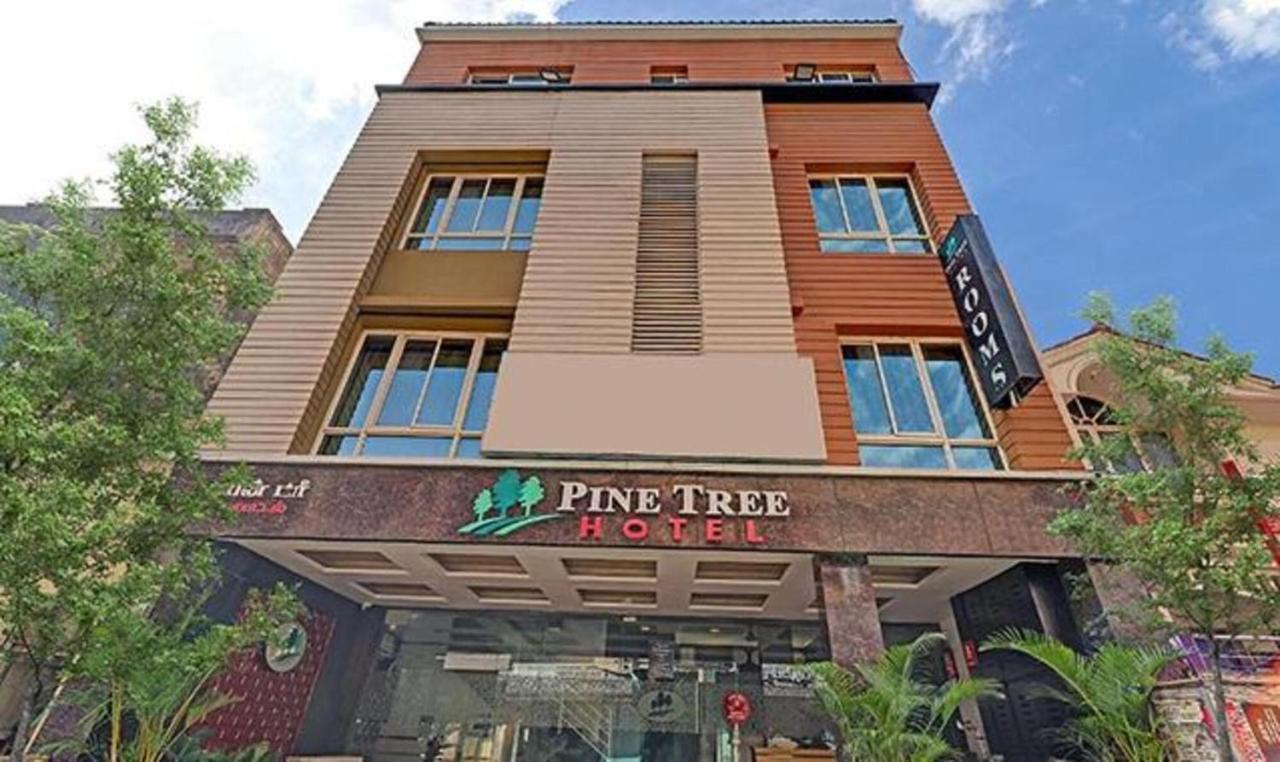 Pine Tree Boutique Hotel Ченнаї Екстер'єр фото