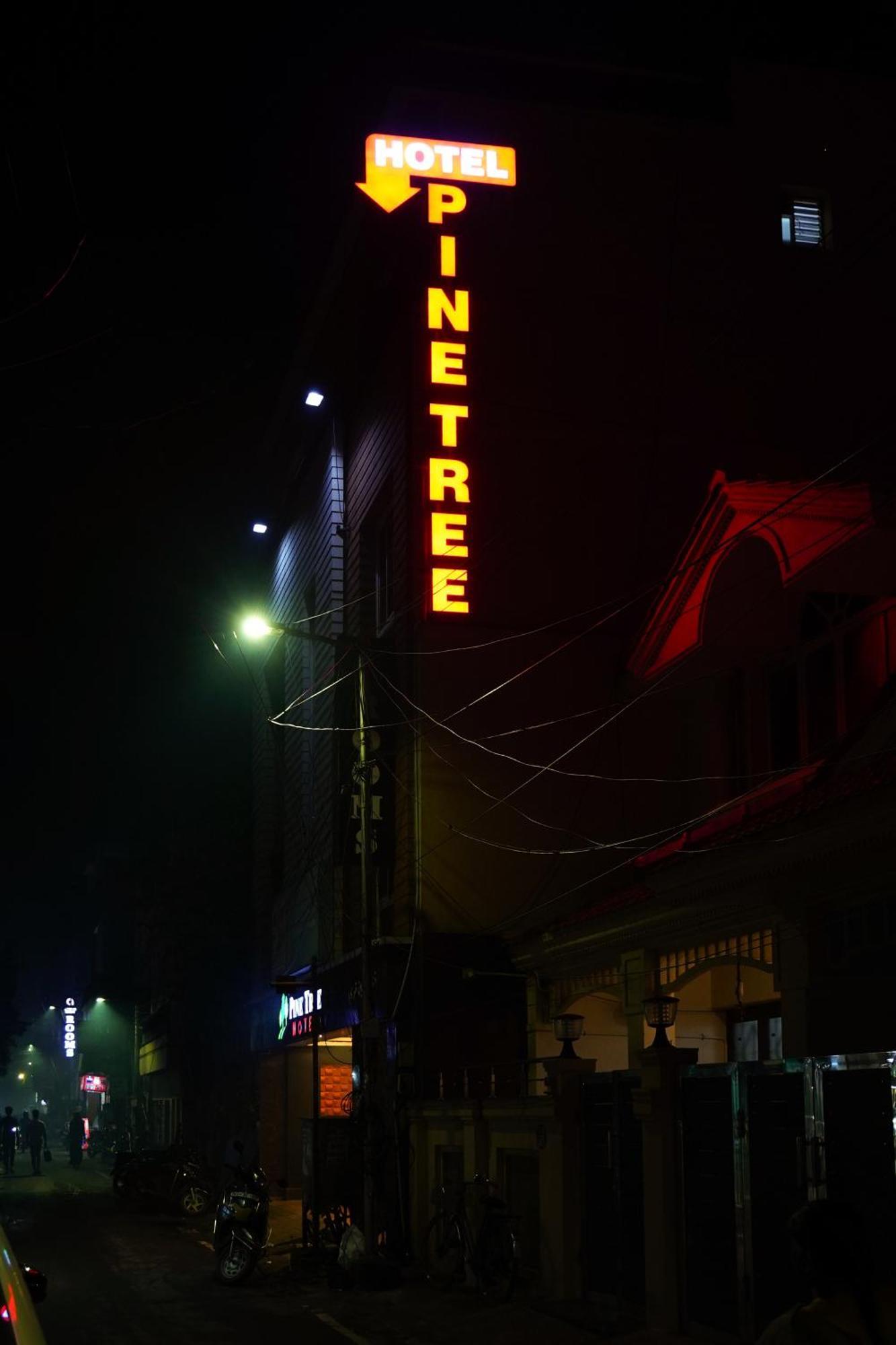 Pine Tree Boutique Hotel Ченнаї Екстер'єр фото